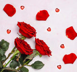 Sweelov Blaue Diamant Herzen Deko - 500 Stück, 12mm, Tischdeko Hochzeit