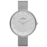 Skagen SKW2140 Damen Uhr mit Lederarmband