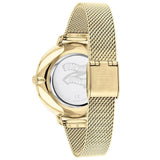 Tommy Hilfiger TH1782164 Damen Uhr - Elegantes Design mit Garantie