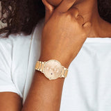 Tommy Hilfiger TH1782296 Damen Uhr – Elegantes Accessoire mit Garantie